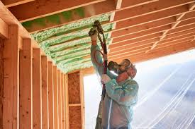 Best Blown-In Insulation  in Kearny, AZ